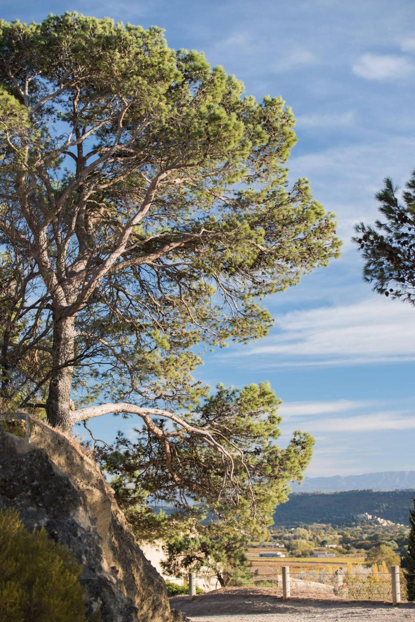 Charmante Maison De Village Au Coeur Du Luberon Cucuron Exterior foto